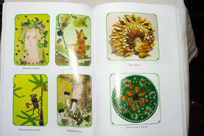 Иллюстрация 14 из 19 для Аппликации из природных материалов - Наталия Дубровская | Лабиринт - книги. Источник: вера_о