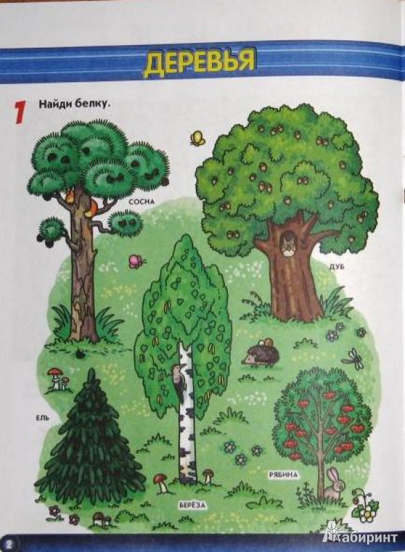 Иллюстрация 14 из 17 для В лесу. Маша и Медведь. Учимся с Машей. 2-3 года | Лабиринт - книги. Источник: СветланаС