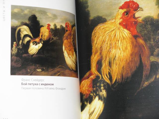 Иллюстрация 16 из 20 для Эрмитаж. Цветы и птицы | Лабиринт - книги. Источник: Nemertona