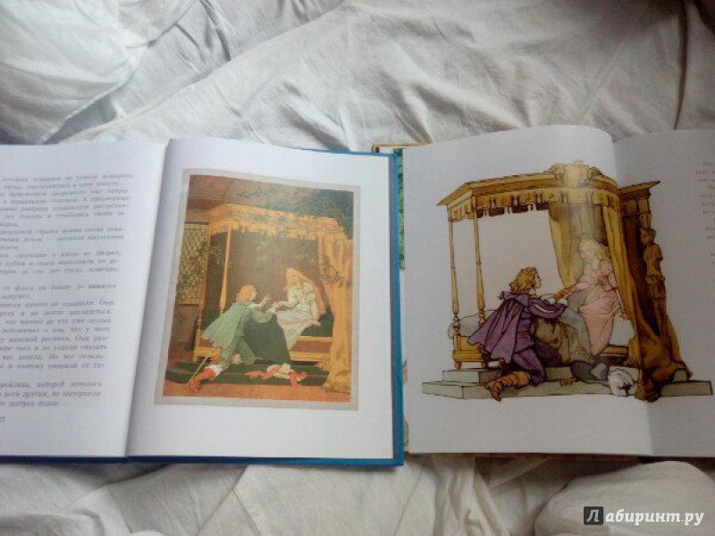 Иллюстрация 30 из 64 для Волшебные сказки - Шарль Перро | Лабиринт - книги. Источник: Доронина  Елена Юрьевна