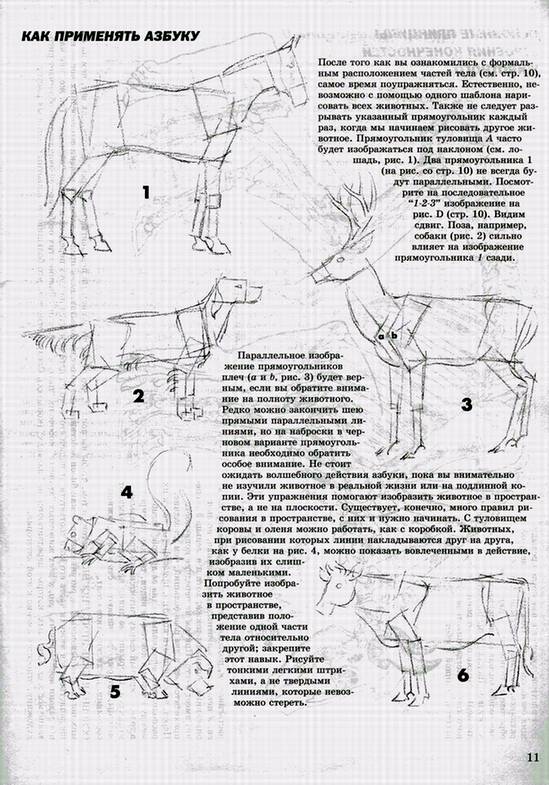 Иллюстрация 28 из 41 для Как рисовать животных - Джек Хамм | Лабиринт - книги. Источник: Panterra