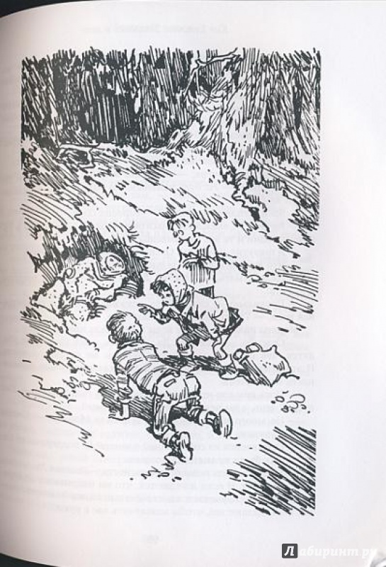 Иллюстрация 21 из 40 для Звездолет в лесу. Фотография пришельца.  Инопланетяне - Кир Булычев | Лабиринт - книги.