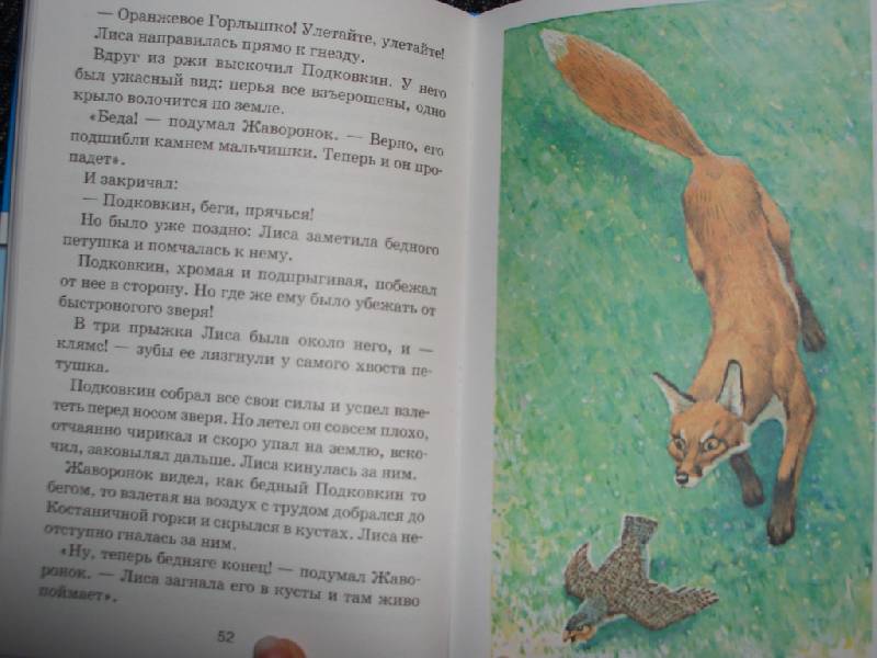 Иллюстрация 3 из 3 для Тайна ночного леса - Виталий Бианки | Лабиринт - книги. Источник: sher