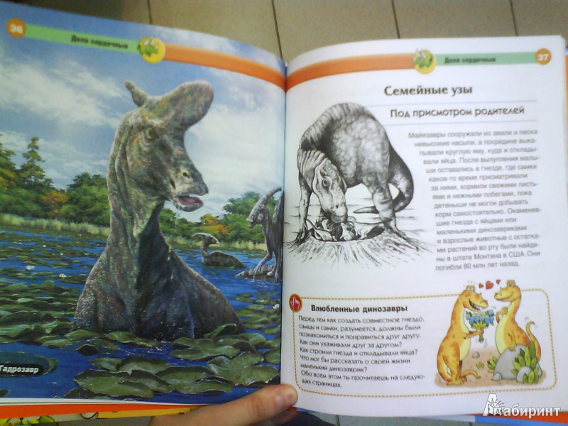 Иллюстрация 12 из 48 для Динозавры - Мария Боцци | Лабиринт - книги. Источник: Мила