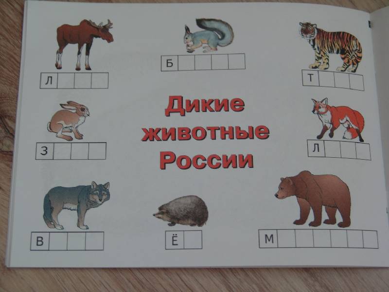 Иллюстрация 6 из 11 для Дикие животные России | Лабиринт - книги. Источник: Лаванда