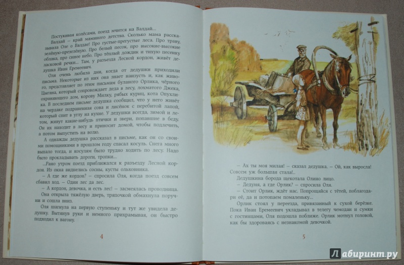 Иллюстрация 8 из 68 для Мой дедушка - егерь - Юрий Грибов | Лабиринт - книги. Источник: Книжный кот