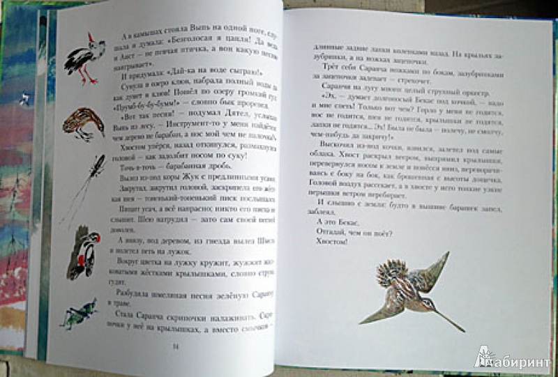Иллюстрация 10 из 31 для Кто чем поет? - Виталий Бианки | Лабиринт - книги. Источник: brrrr