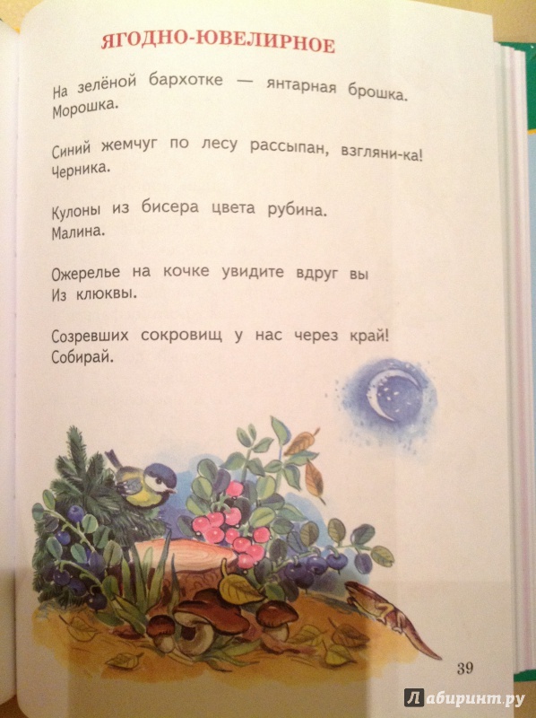 Иллюстрация 4 из 45 для О слонах, троллейбусах и принцах - Анна Игнатова | Лабиринт - книги. Источник: Nadezhda  Marchenko