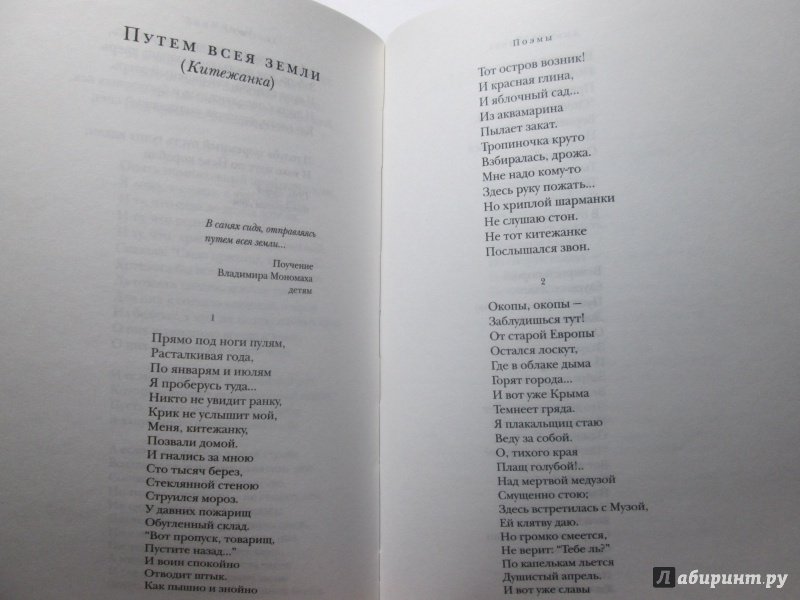 Иллюстрация 26 из 31 для Стихотворения. Поэмы - Анна Ахматова | Лабиринт - книги. Источник: bродяжник