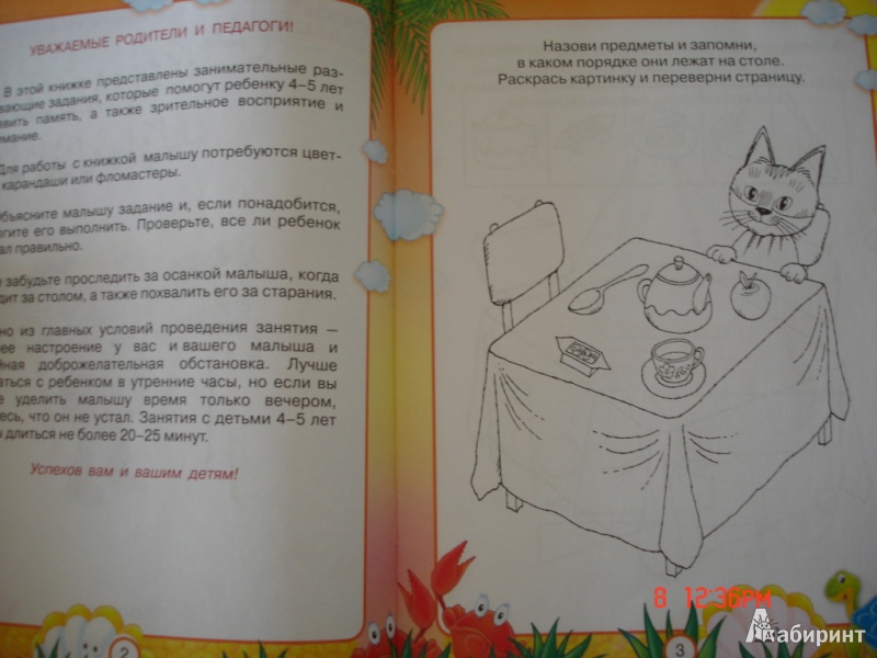 Иллюстрация 2 из 7 для Развиваем память. Для детей 4-5 лет - Гаврина, Топоркова, Щербинина, Кутявина | Лабиринт - книги. Источник: Юрьева  Яна