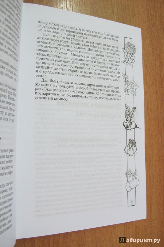Иллюстрация 8 из 9 для Сад и огород для самых умных - Валентина Бурова | Лабиринт - книги. Источник: Hitopadesa