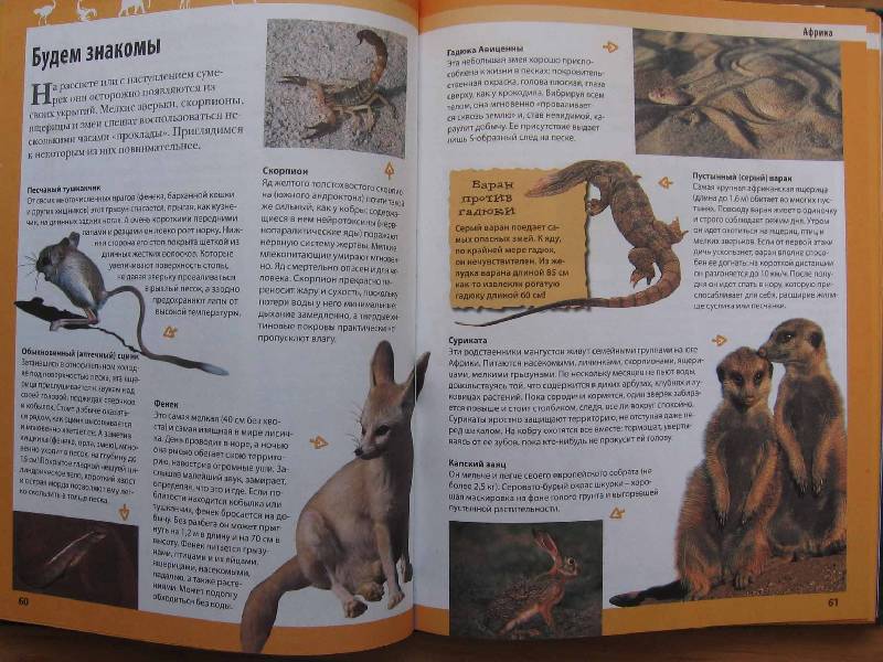 Иллюстрация 19 из 57 для Животные планеты - Кристин Лазье | Лабиринт - книги. Источник: Red cat ;)