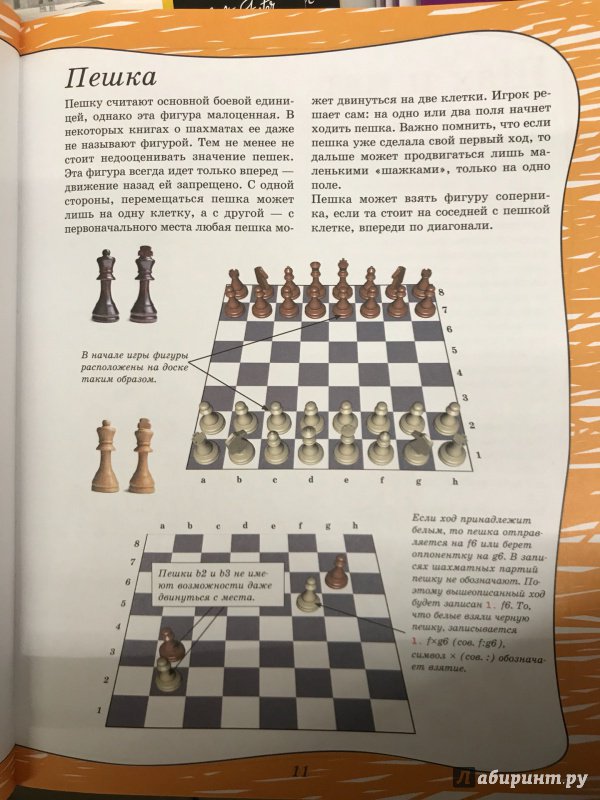 Иллюстрация 28 из 32 для Шахматы - Дмитрий Смирнов | Лабиринт - книги. Источник: Hello
