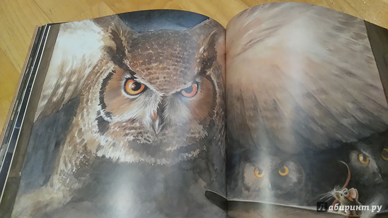 Иллюстрация 86 из 149 для Линдберг. Невероятные приключения летающего мышонка - Торбен Кульманн | Лабиринт - книги. Источник: Китаева  Александра