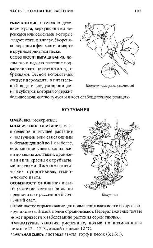 Иллюстрация 29 из 30 для Энциклопедия комнатных и садовых растений | Лабиринт - книги. Источник: Юта