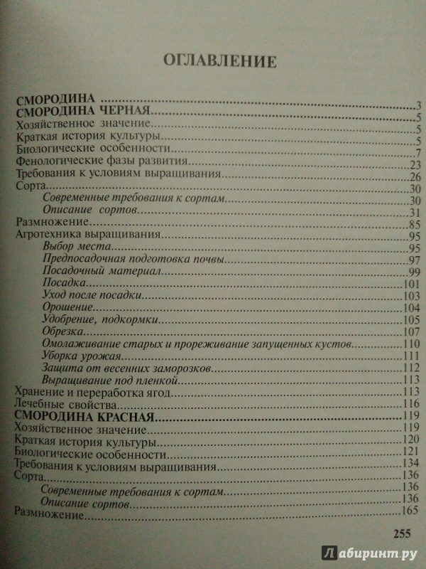 Иллюстрация 9 из 21 для Смородина. Пособие для садоводов-любителей - Ольга Аладина | Лабиринт - книги. Источник: Катерина