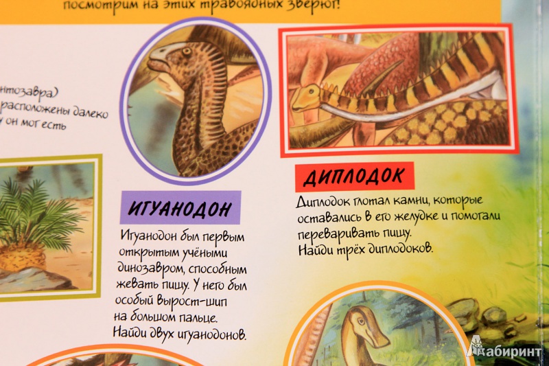 Иллюстрация 16 из 17 для Динозавры. Книга-игра | Лабиринт - книги. Источник: St  Алла