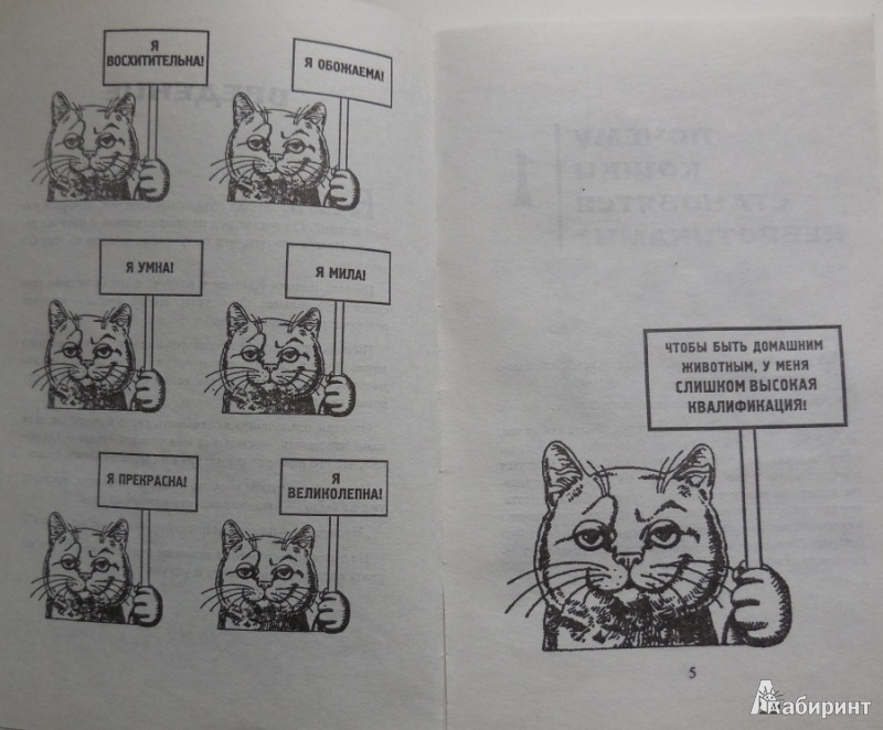 Иллюстрация 13 из 35 для Как жить с кошкой-невротиком - Стивен Бейкер | Лабиринт - книги. Источник: Большой любитель книг