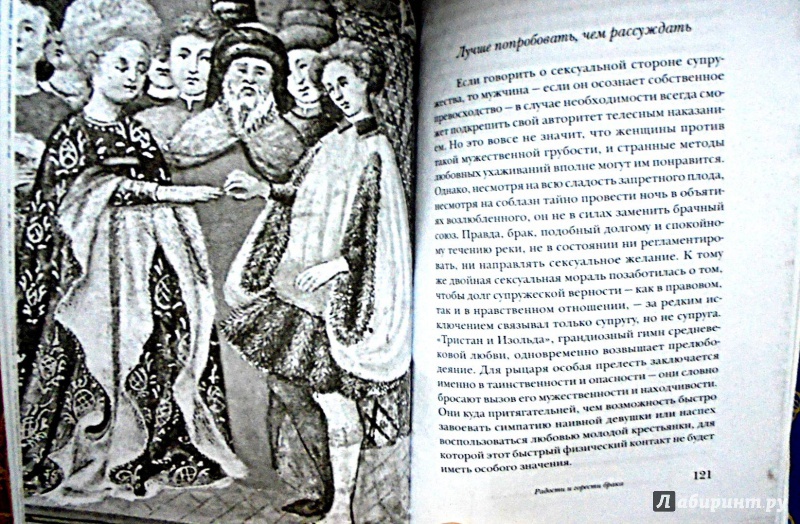 Иллюстрация 22 из 26 для Любовь и Sex в Средние века - Александр Бальхаус | Лабиринт - книги. Источник: Александр Н.