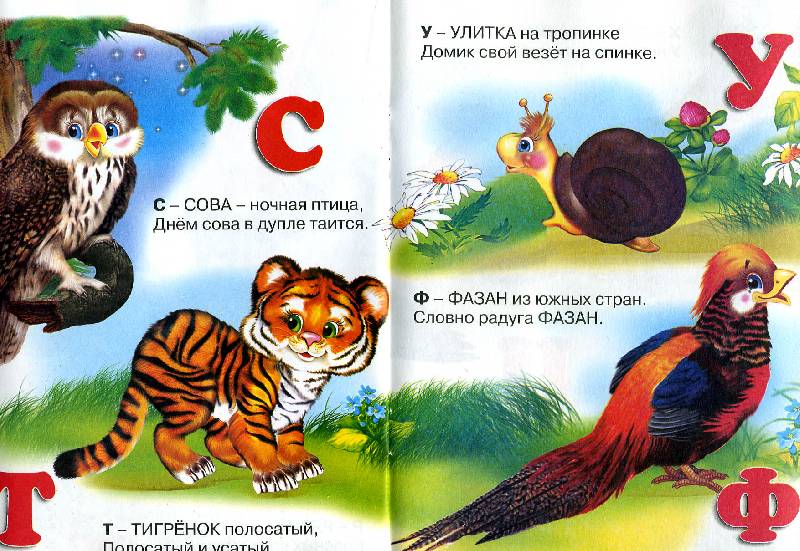 Иллюстрация 9 из 16 для Учим буквы: Азбука - Владимир Степанов | Лабиринт - книги. Источник: РИВА