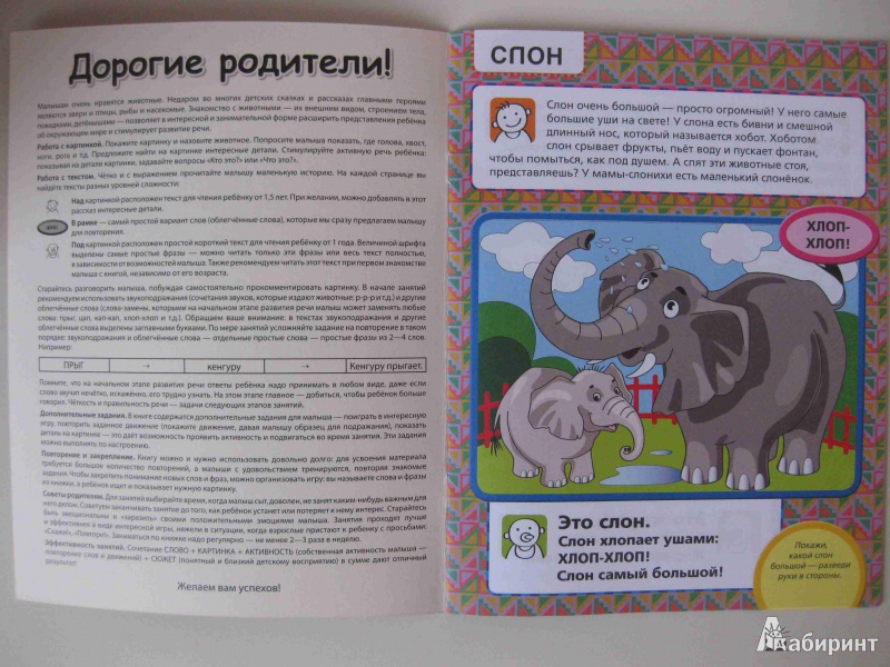 Иллюстрация 3 из 24 для Приходите в зоопарк - Елена Янушко | Лабиринт - книги. Источник: olga12121