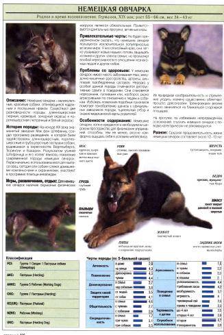 Иллюстрация 12 из 12 для Все о самых популярных породах собак - Джульетта Мей | Лабиринт - книги. Источник: Galia