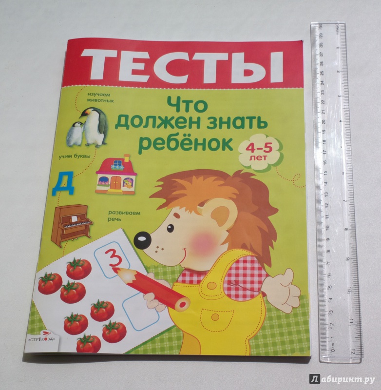 Иллюстрация 23 из 52 для Тесты. Выпуск 2. Что должен знать ребенок 4-5 лет - И. Попова | Лабиринт - книги. Источник: Надежда