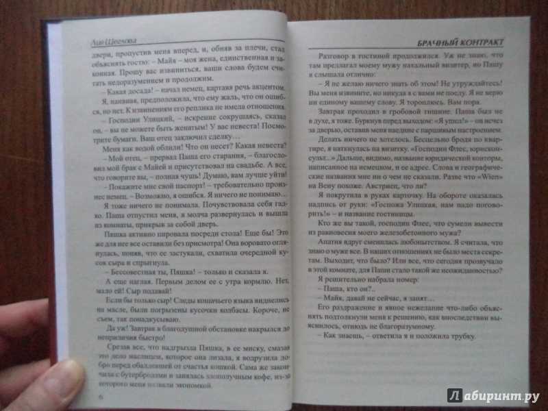 Иллюстрация 6 из 10 для Брачный контракт - Лия Щеглова | Лабиринт - книги. Источник: Kirill  Badulin