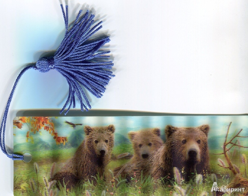 Иллюстрация 4 из 7 для 3D Закладка "Медведи" (BkH003) | Лабиринт - канцтовы. Источник: Pani Irena