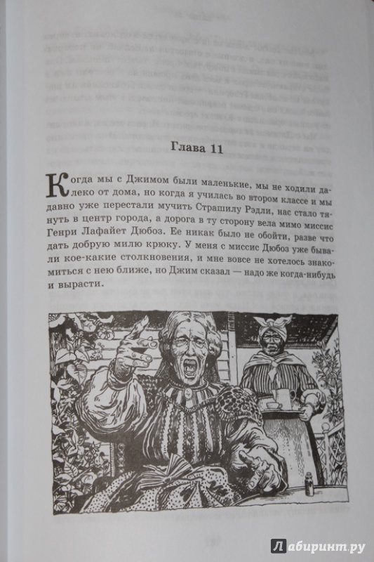 Иллюстрация 113 из 141 для Убить пересмешника... - Харпер Ли | Лабиринт - книги. Источник: Katerina