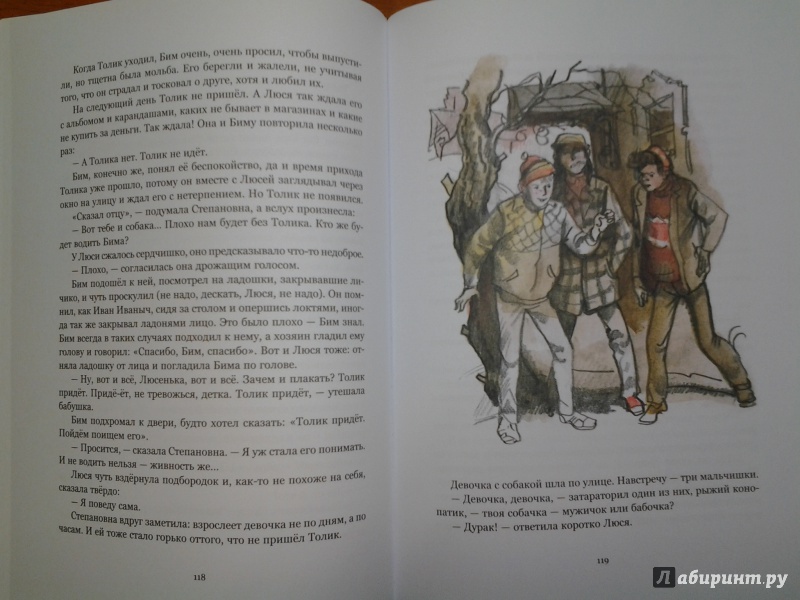 Иллюстрация 28 из 113 для Белый Бим Черное ухо - Гавриил Троепольский | Лабиринт - книги. Источник: Викуша-мама