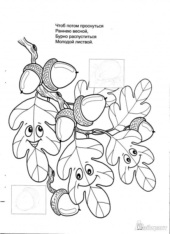 Иллюстрация 5 из 8 для Золотая осень - Виталий Лиходед | Лабиринт - книги. Источник: Лазарева  Ольга Сергеевна