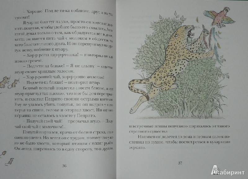 Иллюстрация 44 из 73 для Сказки сельвы: сказки о животных - Орасио Кирога | Лабиринт - книги. Источник: Ромашка:-)