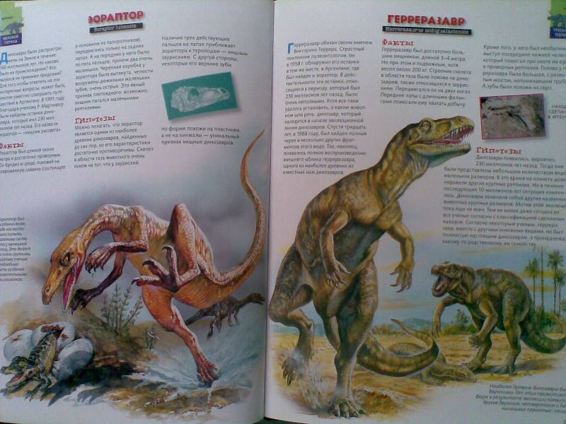 Иллюстрация 12 из 23 для Тираннозавр & Ко - М. Банфи | Лабиринт - книги. Источник: Мельникова  Светлана Сергеевна