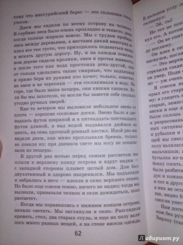 Иллюстрация 17 из 21 для Приключения Гекльберри Финна - Марк Твен | Лабиринт - книги. Источник: Гуреева  Юлия