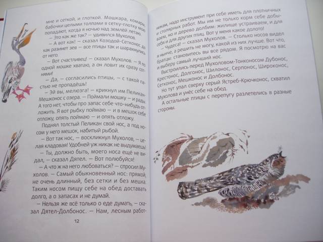 Иллюстрация 28 из 37 для Кто чем поет? - Виталий Бианки | Лабиринт - книги. Источник: Осьминожка