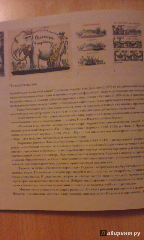 Иллюстрация 32 из 52 для Рассказы в картинках - Радлов, Хармс, Дилакторская, Гернет | Лабиринт - книги. Источник: Алексеева  Наталья Владимировна