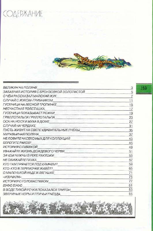Иллюстрация 14 из 30 для Великан на поляне, или Первые уроки экологической этики. Пособие для учащихся. ФГОС - Плешаков, Румянцев | Лабиринт - книги. Источник: Бетельгейзе