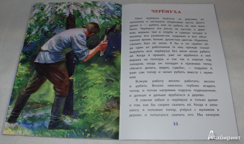 Иллюстрация 10 из 35 для Филипок - Лев Толстой | Лабиринт - книги. Источник: Книжный кот