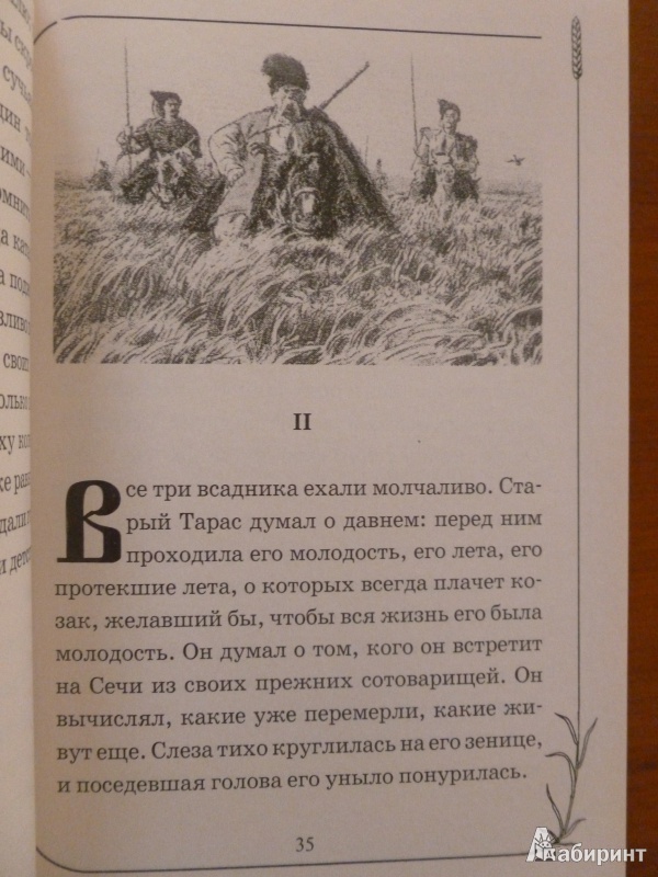 Иллюстрация 5 из 45 для Тарас Бульба - Николай Гоголь | Лабиринт - книги. Источник: дева