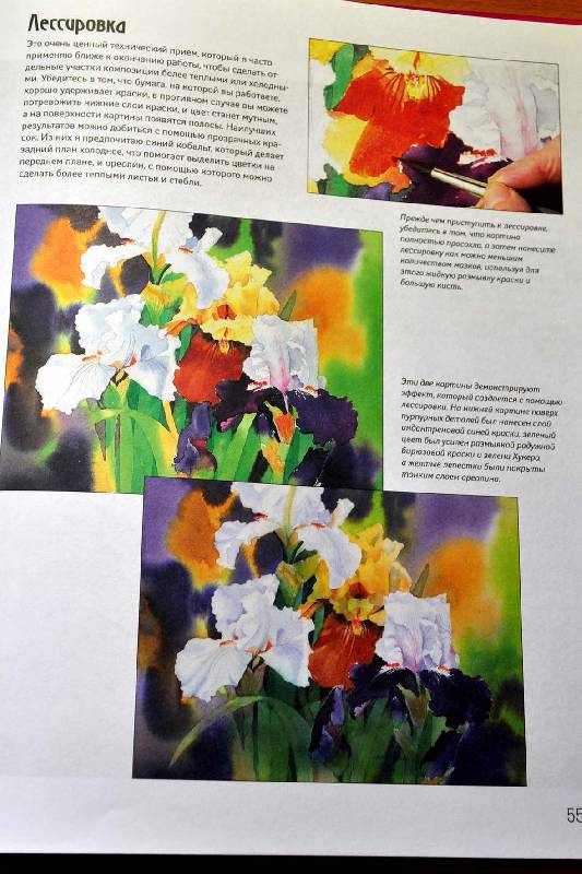 Иллюстрация 7 из 26 для Рисуем цветы акварелью - Жанет Уиттл | Лабиринт - книги. Источник: Ассоль