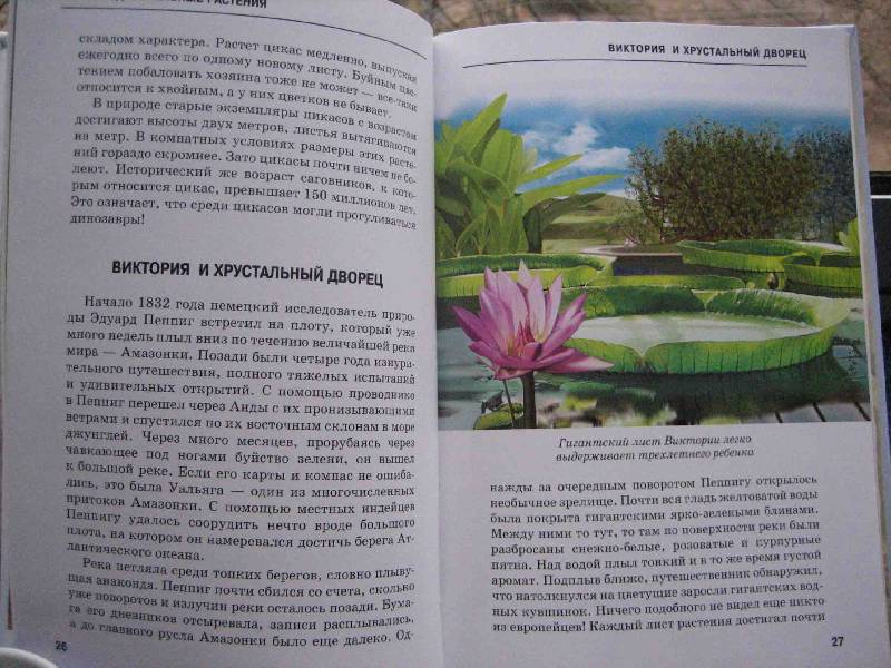 Иллюстрация 46 из 54 для Самые удивительные растения - Сергей Афонькин | Лабиринт - книги. Источник: Трухина Ирина