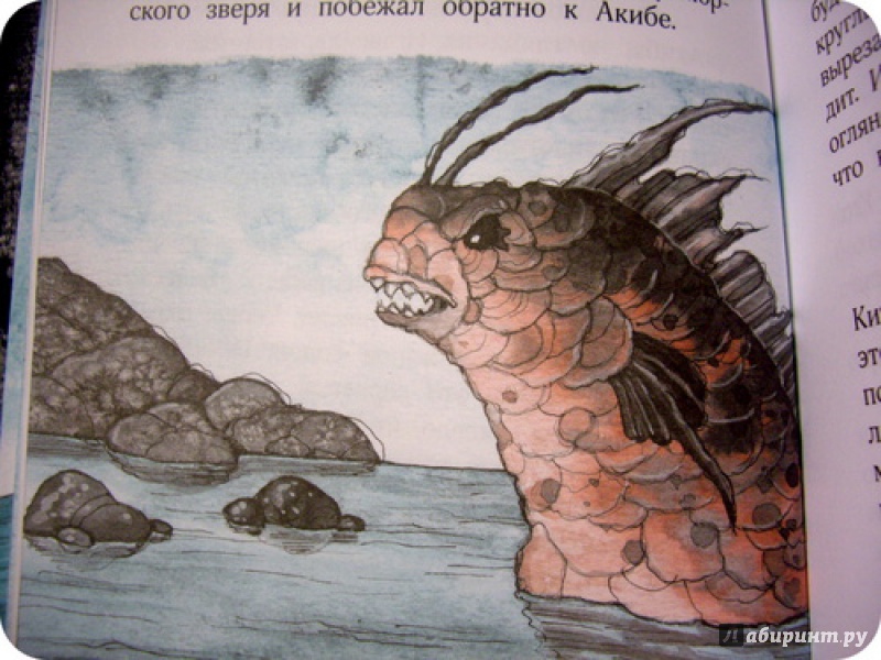 Иллюстрация 23 из 27 для Кит плывёт на север - Анастасия Строкина | Лабиринт - книги. Источник: anne-d-autriche