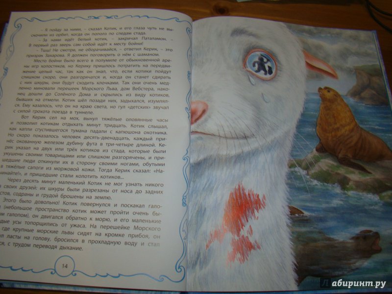 Иллюстрация 12 из 45 для Белый котик - Редьярд Киплинг | Лабиринт - книги. Источник: Лысова  Анна Григорьевна