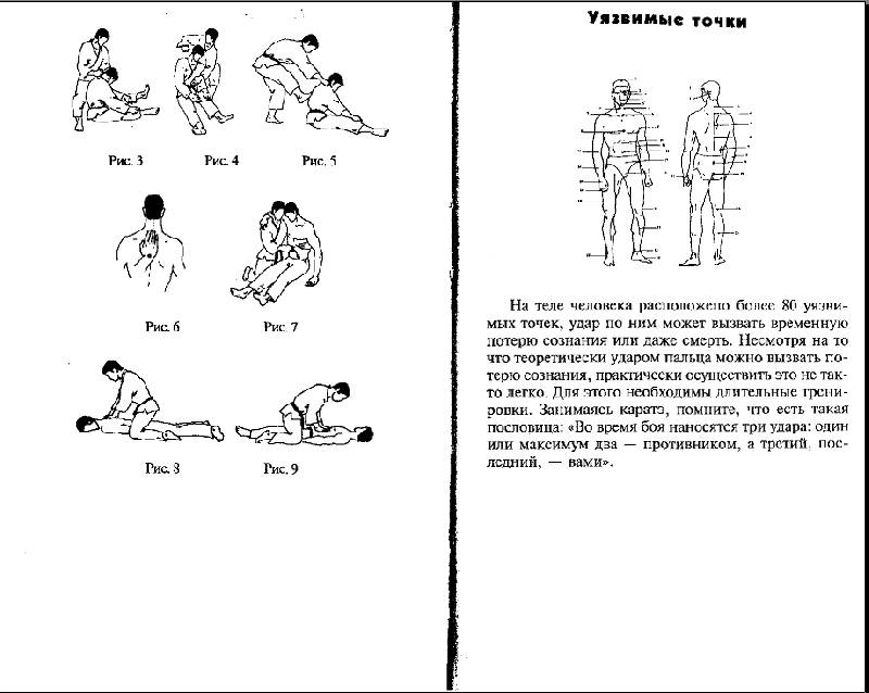 Иллюстрация 7 из 7 для Каратэ Киокушинкай: Самоучитель - Мисак Мисакян | Лабиринт - книги. Источник: Рыженький