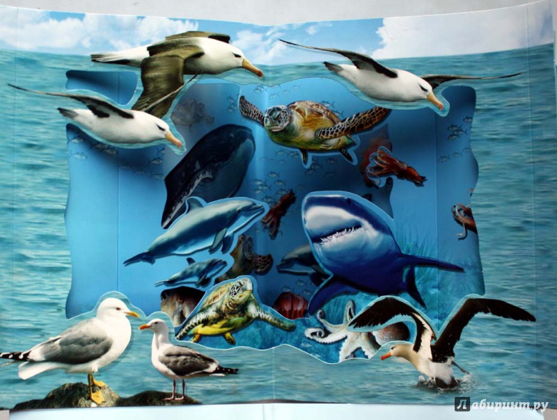 Иллюстрация 13 из 20 для Удивительный океан | Лабиринт - книги. Источник: Сидоренко  Сергей