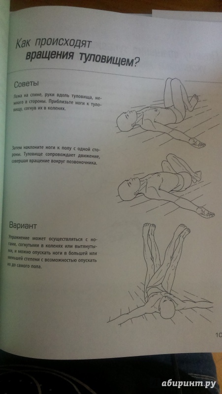 Иллюстрация 10 из 14 для Анатомия упражнений для пресса - Бландин Кале-Жермен | Лабиринт - книги. Источник: Юлия