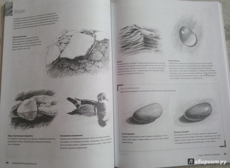 Иллюстрация 5 из 11 для Самый простой курс рисования - Вилленбринк, Вилленбринк | Лабиринт - книги. Источник: Петренко  Софья