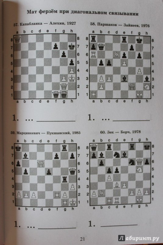 Иллюстрация 13 из 26 для Шахматный решебник. Книга B. Мат в 1 ход - Костров, Рожков | Лабиринт - книги. Источник: Катерина