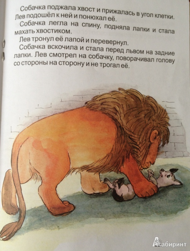 Иллюстрация 2 из 5 для Орёл. Лев и собачка - Лев Толстой | Лабиринт - книги. Источник: cercera